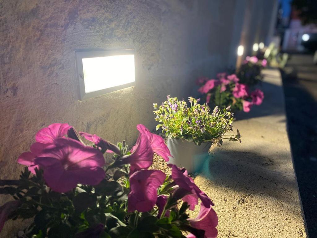 스퀸자노 Viro House B&B 외부 사진